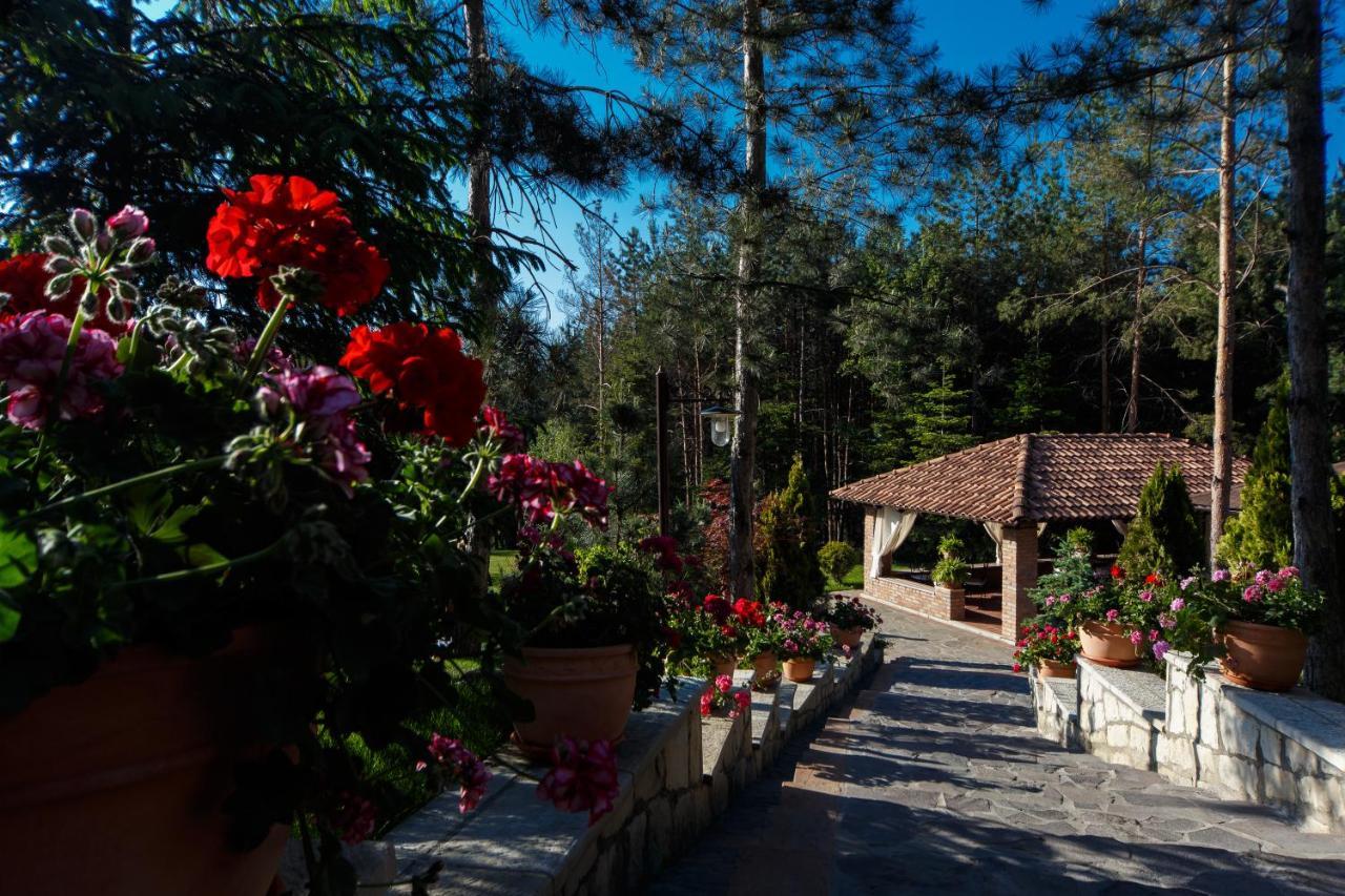 Hotel Helen Bákó Kültér fotó